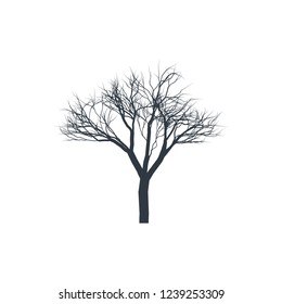 Tree silhouette on white background. Bare tree. Vector illustration.
