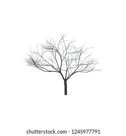 Tree silhouette on white background. Bare tree. Vector illustration.