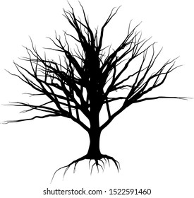 tree silhouette on a white background vector