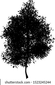 tree silhouette on a white background vector
