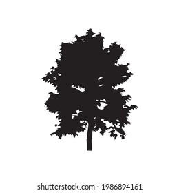 tree silhouette on white background