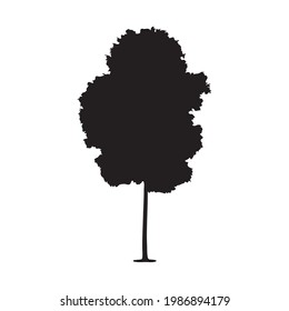 tree silhouette on white background