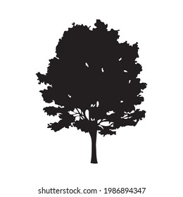 tree silhouette on white background