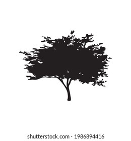 tree silhouette on white background