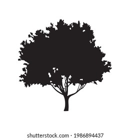 tree silhouette on white background