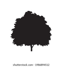 tree silhouette on white background