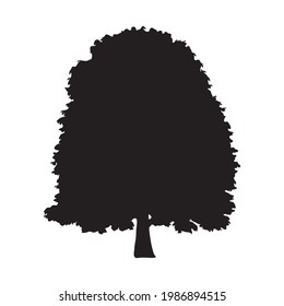 tree silhouette on white background