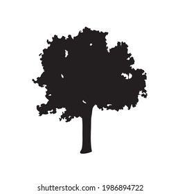 tree silhouette on white background