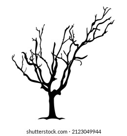 Tree silhouette on white background