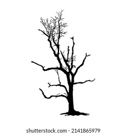 Tree silhouette on white background