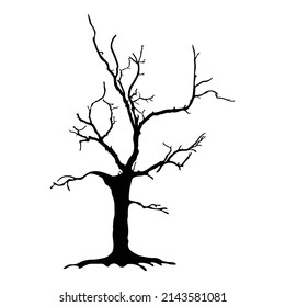 Tree silhouette on white background