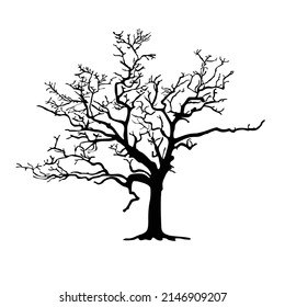 Tree silhouette on white background