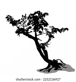 tree silhouette on white background. Vector illustration.