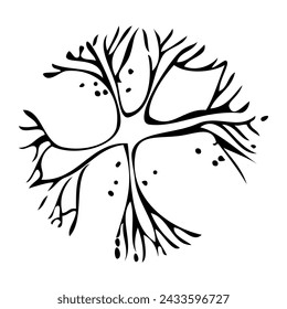 Tree silhouette on white background. Architectural symbol of tree in base layout. Simple urban design logo of tree trunk. Freehand drawing of the plants in top view in sketchy style.