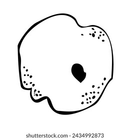 Tree silhouette on white background. Architectural symbol of tree in base layout. Simple urban design logo of tree trunk. Freehand drawing of the plants in top view in sketchy style.