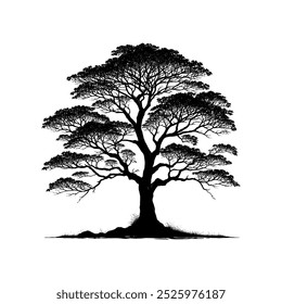 Tree Silhouette On White Background
