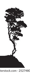 Tree silhouette on a white background. Vector illustration for your decorations in nature style