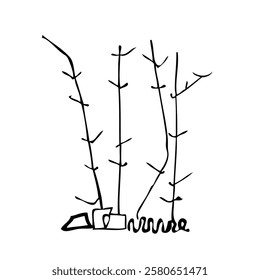 Tree silhouette on white background. Architectural symbol of tree in base layout. Simple urban design logo of tree trunk. Freehand drawing of the plants in top view in sketchy style. Top and front vie