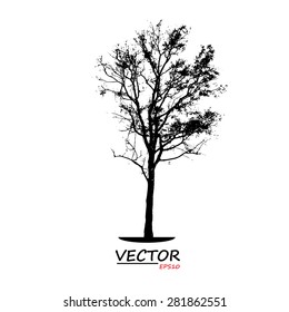 tree silhouette on white background