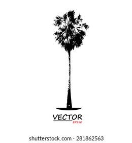 tree silhouette on white background