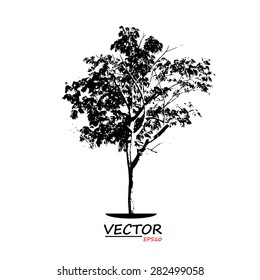 tree silhouette on white background