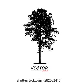 tree silhouette on white background