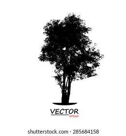 tree silhouette on white background