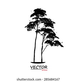 tree silhouette on white background