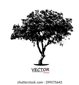 tree silhouette on white background