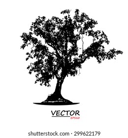 tree silhouette on white background