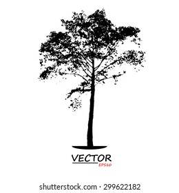 tree silhouette on white background