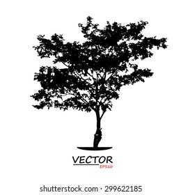 tree silhouette on white background