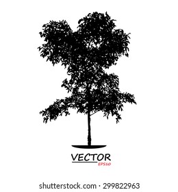 tree silhouette on white background