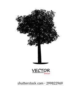 tree silhouette on white background