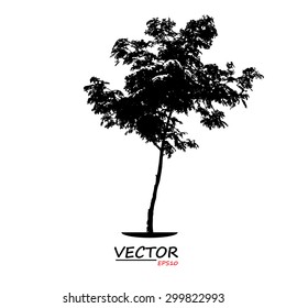 tree silhouette on white background