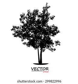 tree silhouette on white background