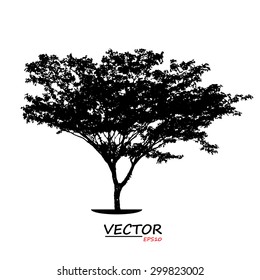 tree silhouette on white background