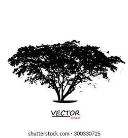 tree silhouette on white background