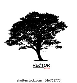 tree silhouette on white background