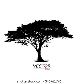 tree silhouette on white background