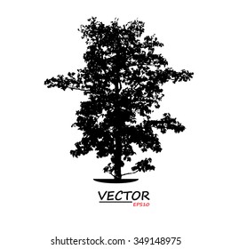 tree silhouette on white background