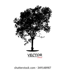 tree silhouette on white background