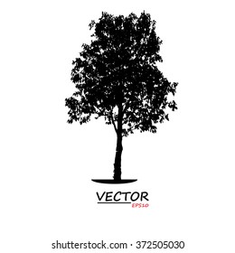 tree silhouette on white background