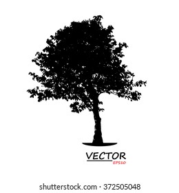 tree silhouette on white background