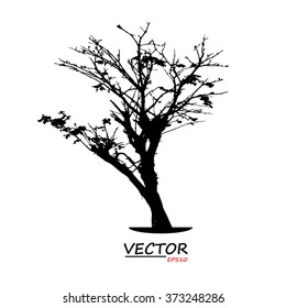 tree silhouette on white background
