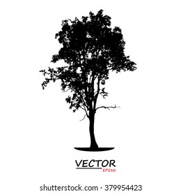 tree silhouette on white background