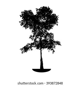 tree silhouette on white background