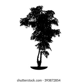 tree silhouette on white background