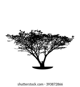 tree silhouette on white background