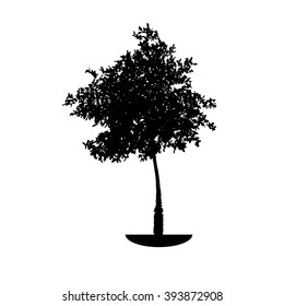 tree silhouette on white background